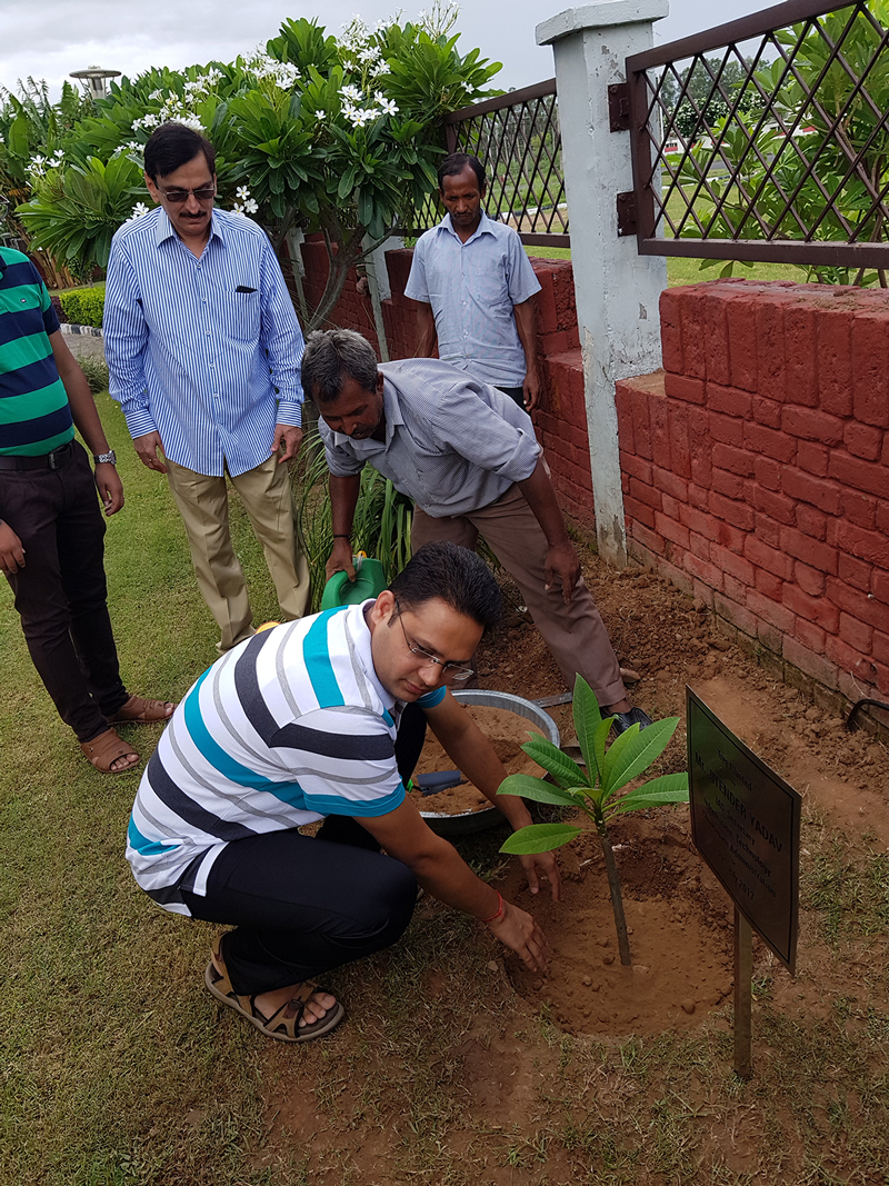 Tree planted by Mr Jitender Yadav, IAS, Secretary Information Technology, Chandigarh Administration in EDC Campus at CTP on 22nd July, 2017  